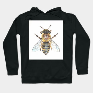 Honey Bee Hoodie